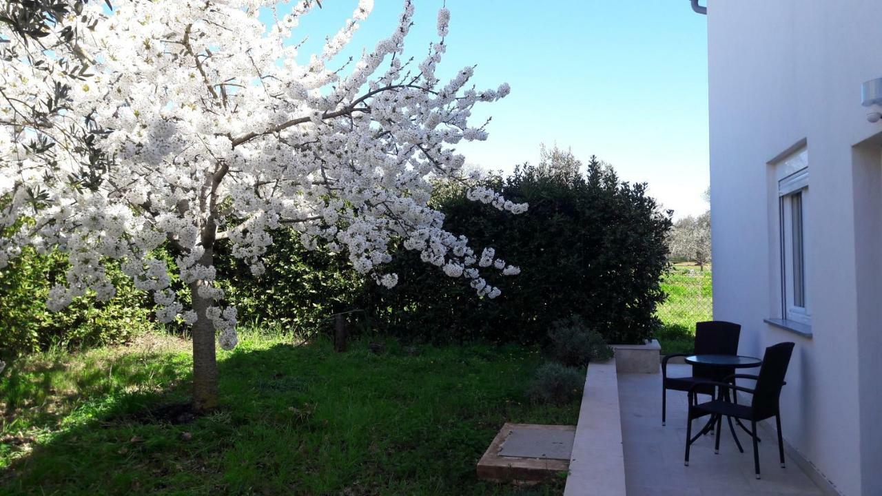 Apartment Greeny Galizana ภายนอก รูปภาพ